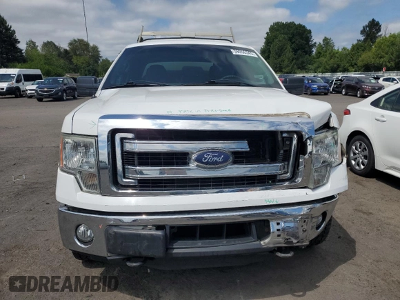 2014 Ford F-150 XL with VIN 1FTFX1ET0EKD17173, listed as a Copart auction lot 59056345 with 185,804 mi miles and Salvage title. Bid and sale history available at DreamBid. Image 5.