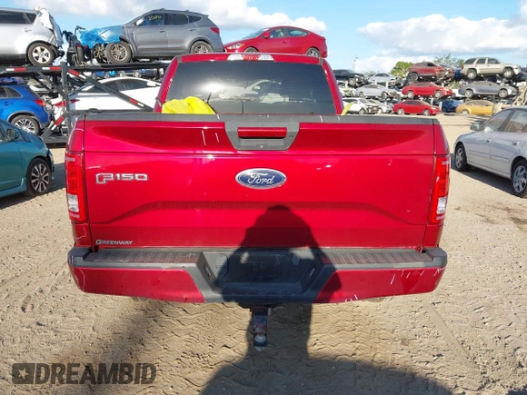 2017 Ford F-150 XL with VIN 1FTEX1CF6HFA57562, listed as a IAAI auction lot 41131686 with 80,985 mi miles. Bid and sale history available at carsss.com. Image 16.