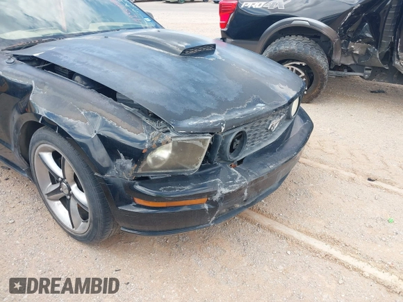 2007 Ford Mustang GT Deluxe z VIN 1ZVHT85H575287613, wystawiony jako IAAI lot #42543302 z przebiegiem Nie podano mil oraz . Historia ofert i sprzedaży dostępna na DreamBid. Obrazek 18.