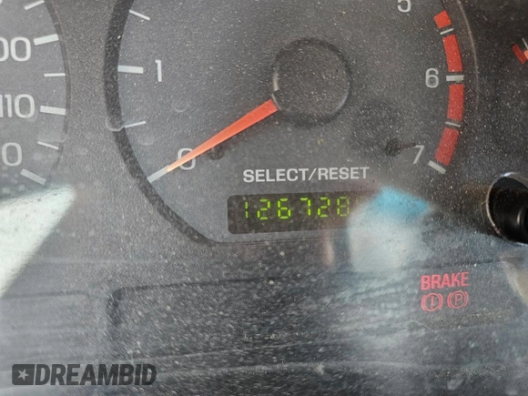 2004 Ford Mustang Standard with VIN 1FAFP406X4F239310, listed as a Copart auction lot 49748795 with 1,267,289 mi miles and Clean Title. Bid and sale history available at carsss.com. Image 8.