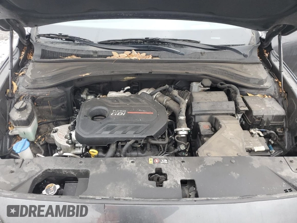 2020 Hyundai Santa Fe Limited with VIN 5NMS5CAA8LH213883, listed as a Copart auction lot 88423355 with 55,410 mi miles and Salvage Title. Bid and sale history available at carsss.com. Image 14.