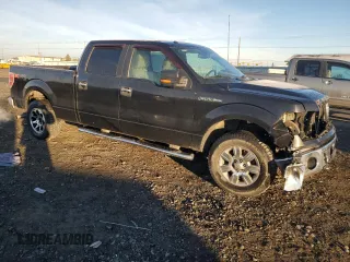 2010 Ford F-150 XL with VIN 1FTFW1EV9AFD21293, listed as a Copart auction lot 77943404 with 123,165 mi miles and Salvage title. Bid and sale history available at DreamBid. Image 4.