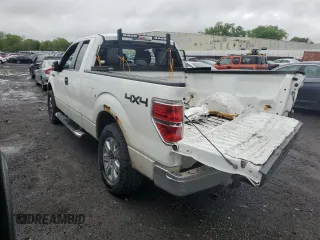 2014 Ford F-150 XL with VIN 1FTEX1EM7EFB23883, listed as a Copart auction lot 55429125 with 74,002 mi miles and Salvage title. Bid and sale history available at DreamBid. Image 2.