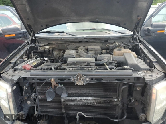 2010 Ford F-150 XL with VIN 1FTFW1EV9AFD28079, listed as a Copart auction lot 62614575 with 213,159 mi miles and Clean title. Bid and sale history available at DreamBid. Image 11.