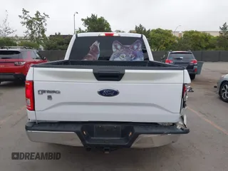 2017 Ford F-150 XL with VIN 1FTEW1CFXHKC00717, listed as a IAAI auction lot 42425695 with 80,199 mi miles and . Bid and sale history available at DreamBid. Image 16.