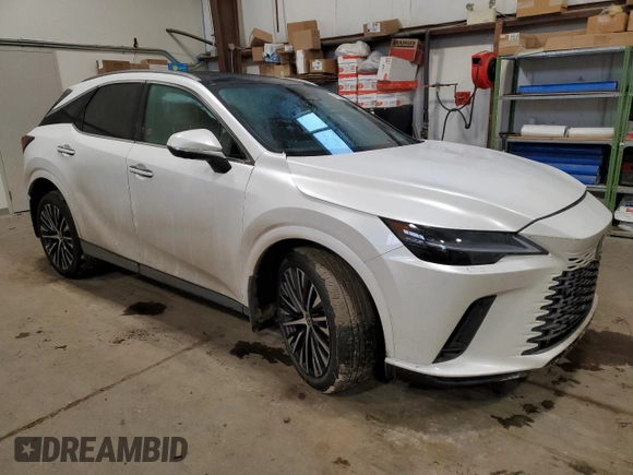2023 Lexus RX with VIN 2T2BBMCA2PC014251, listed as a Copart auction lot 40668384 with 9,395 mi miles and Salvage Title. Bid and sale history available at carsss.com. Image 4.