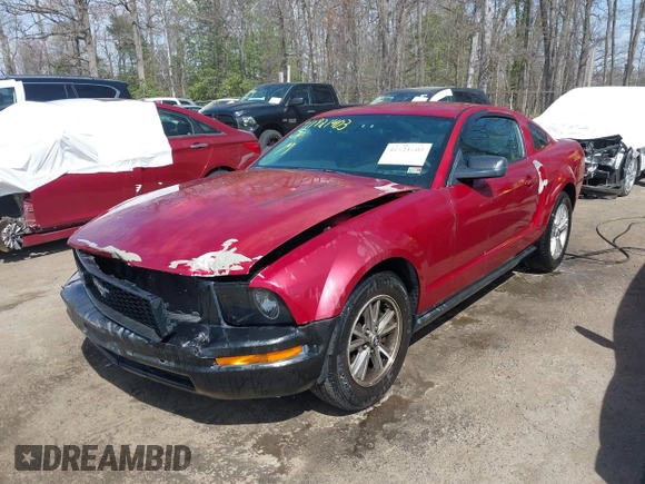 2005 Ford Mustang Deluxe with VIN 1ZVFT80NX55119984, listed as a IAAI auction lot 41921403 with 243,278 mi miles and . Bid and sale history available at DreamBid. Image 6.