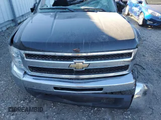 2012 Chevrolet Silverado 1500 LT with VIN 1GCNKSE00CZ157872, listed as a Copart auction lot 74518834 with Not Provided miles and Clean Title. Bid and sale history available at DreamBid. Image 11.