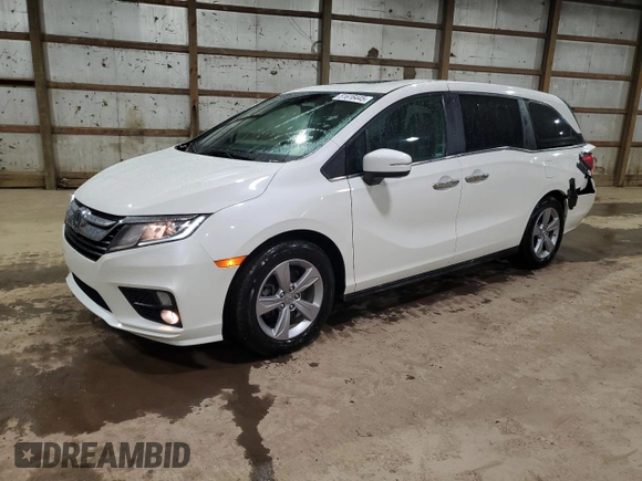 2019 Honda Odyssey EX-L with VIN 5FNRL6H70KB120310, listed as a Copart auction lot 51616445 with 124,398 mi miles and Salvage Title. Bid and sale history available at carsss.com. Image 1.