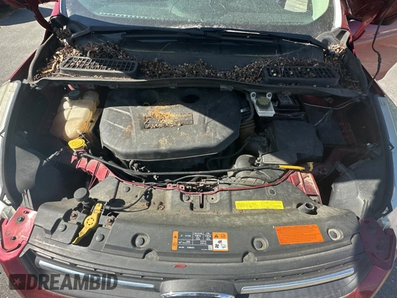 2013 Ford Escape SE с VIN 1FMCU9G95DUD25554, выставлен на аукционе Copart как лот 45386085 с пробегом Не указан миль и Чистый • Clean title. История ставок и продаж доступна на DreamBid. Изображение 7.