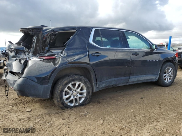 2019 Chevrolet Traverse LS with VIN 1GNERFKW7KJ289186, listed as a Copart auction lot 53203425 with 99,111 mi miles and Clean Title. Bid and sale history available at carsss.com. Image 3.