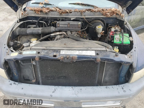 2001 Dodge 1500 with VIN 1B7HC16Y31S208991, listed as a Copart auction lot 49591855 with 147,922 mi miles and Clean title. Bid and sale history available at DreamBid. Image 11.