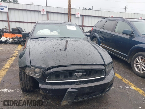 2013 Ford Mustang V6 with VIN 1ZVBP8AM9D5253490, listed as a IAAI auction lot 41856886 with 236,348 mi miles and . Bid and sale history available at DreamBid. Image 12.