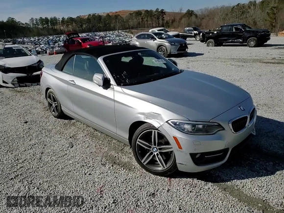 2017 BMW 2 Series 230i with VIN WBA2K9C54HV646717, listed as a Copart auction lot 41997345 with 123,963 mi miles and Salvage Title. Bid and sale history available at carsss.com. Image 11.