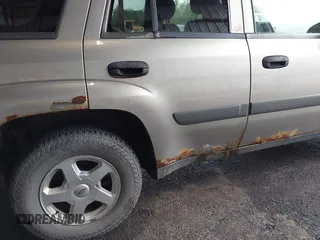 2003 Chevrolet TrailBlazer LS with VIN 1GNDS13S232326932, listed as a IAAI auction lot 42194665 with 137,183 mi miles and . Bid and sale history available at DreamBid. Image 6.