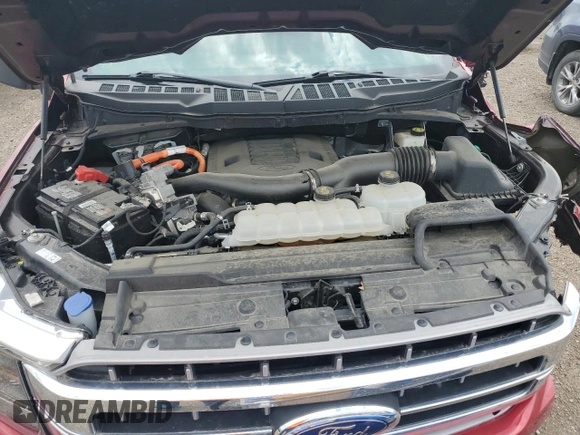 2021 Ford F-150 XL z VIN 1FTFW1ED4MFD09161, wystawiony jako Copart lot #60036055 z przebiegiem 53 833 mil mil oraz Szkoda całkowita • Salvage title. Historia ofert i sprzedaży dostępna na DreamBid. Obrazek 11.