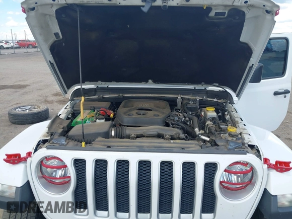 2019 Jeep Wrangler Unlimited Sahara with VIN 1C4HJXEN7KW535887, listed as a IAAI auction lot 42217440 with 91,226 mi miles and . Bid and sale history available at DreamBid. Image 10.