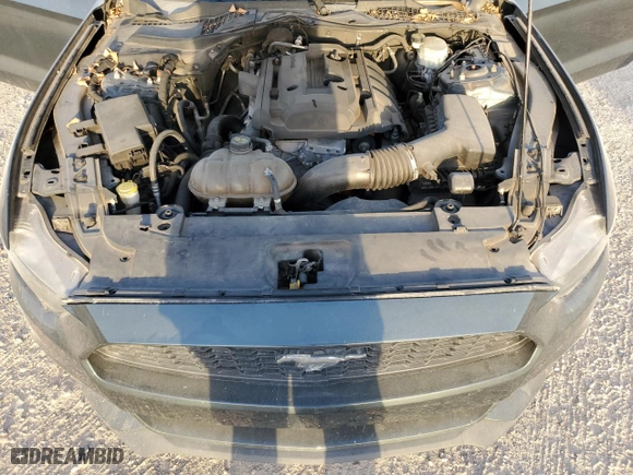 2015 Ford Mustang EcoBoost with VIN 1FA6P8TH8F5342108, listed as a Copart auction lot 48409745 with 129,989 mi miles and Salvage Title. Bid and sale history available at carsss.com. Image 11.