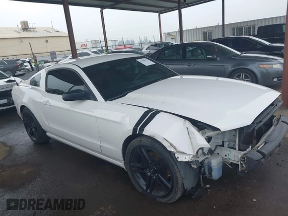 2013 Ford Mustang V6 with VIN 1ZVBP8AM8D5206791, listed as a IAAI auction lot 41156172 with 97,169 mi miles. Bid and sale history available at carsss.com. Image 14.
