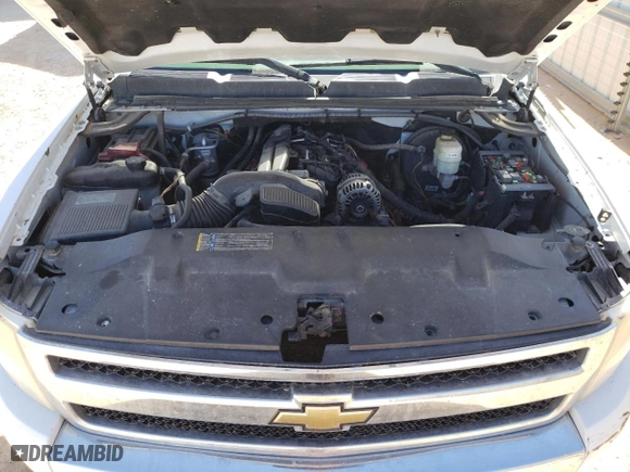 2010 Chevrolet Silverado 1500 LS with VIN 3GCRKREA0AG266297, listed as a Copart auction lot 43928514 with 183,721 mi miles and Clean Title. Bid and sale history available at carsss.com. Image 11.