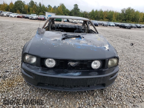 2008 Ford Mustang Deluxe with VIN 1ZVHT80N385125655, listed as a Copart auction lot 78388804 with Not provided miles and Non repairable. Bid and sale history available at DreamBid. Image 5.