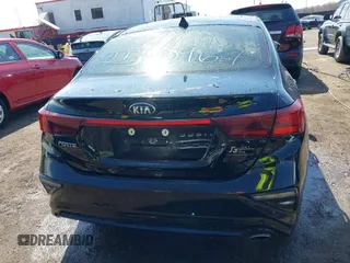 2019 Kia Forte LXS with VIN 3KPF24AD9KE045316, listed as a IAAI auction lot 41801486 with 84,843 mi miles. Bid and sale history available at carsss.com. Image 16.