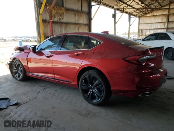 2023 Acura TLX Advance with VIN 19UUB6F68PA004538, listed as a Copart auction lot 66206275 with Not provided miles and Salvage title. Bid and sale history available at DreamBid. Image 2.