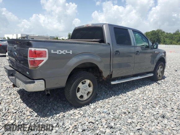 2010 Ford F-150 XL with VIN 1FTFW1EV8AFC53407, listed as a Copart auction lot 60062675 with 164,740 mi miles and Clean title. Bid and sale history available at DreamBid. Image 3.