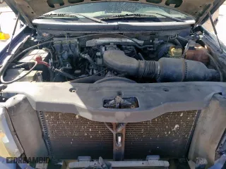 2006 Ford F-150 XLT with VIN 1FTRW12W86KD95832, listed as a Copart auction lot 49172245 with 0 mi miles and Salvage Title. Bid and sale history available at carsss.com. Image 11.