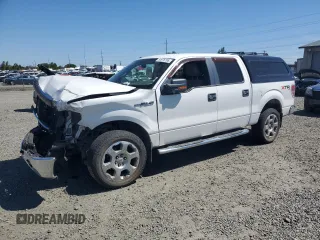 2010 Ford F-150 XL с VIN 1FTFW1EV9AFB56605, выставлен на аукционе Copart как лот 54976765 с пробегом 92 944 миль миль и Списание • Salvage title. История ставок и продаж доступна на DreamBid. Изображение 1.
