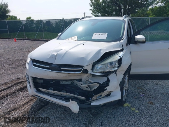 2015 Ford Escape Titanium with VIN 1FMCU0JXXFUA07175, listed as a IAAI auction lot 42447067 with 94,893 mi miles and . Bid and sale history available at DreamBid. Image 6.