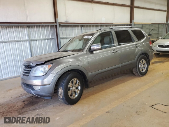2009 Kia Borrego LX with VIN KNDJJ741495028851, listed as a Copart auction lot 46716545 with Not Provided miles and Salvage Title. Bid and sale history available at DreamBid. Image 1.