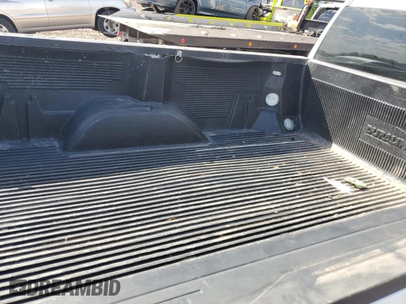 2019 Chevrolet Silverado 1500 Work Truck with VIN 3GCNWAEF3KG224577, listed as a Copart auction lot 50569615 with 113,231 mi miles and Salvage Title. Bid and sale history available at DreamBid. Image 10.