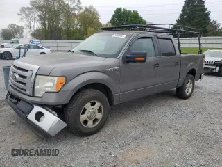 2010 Ford F-150 XL with VIN 1FTEW1C87AFB23756, listed as a Copart auction lot 51209455 with 265,573 mi miles and Salvage Title. Bid and sale history available at DreamBid. Image 1.