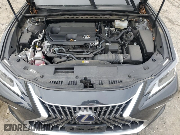 2022 Lexus ES 300h z VIN 58ADA1C16NU026003, wystawiony jako Copart lot #53938505 z przebiegiem 24 484 mil mil oraz Szkoda całkowita • Salvage title. Historia ofert i sprzedaży dostępna na DreamBid. Obrazek 11.