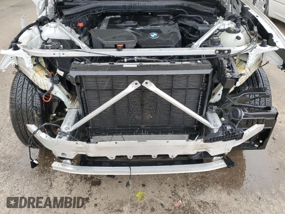 2020 BMW X3 xDrive30i with VIN 5UXTY5C02LLT32702, listed as a Copart auction lot 51238085 with 56,033 mi miles and Salvage Title. Bid and sale history available at DreamBid. Image 12.