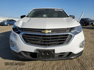 2021 Chevrolet Equinox LS with VIN 3GNAXFEV7MS104871, listed as a Copart auction lot 74592003 with 49,069 mi miles and Salvage title. Bid and sale history available at DreamBid. Image 5.