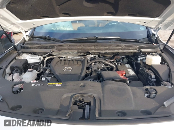 2023 Lexus RX 350 с VIN 2T2BAMBA3PC011153, выставлен на аукционе IAAI как лот 41025038 с пробегом 16 404 миль миль и . История ставок и продаж доступна на DreamBid. Изображение 10.