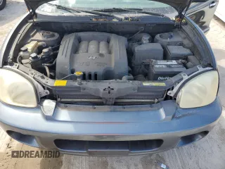 2002 Hyundai Santa Fe GLS with VIN KM8SC13D72U190570, listed as a Copart auction lot 77257524 with 244,808 mi miles and Salvage Title. Bid and sale history available at carsss.com. Image 12.