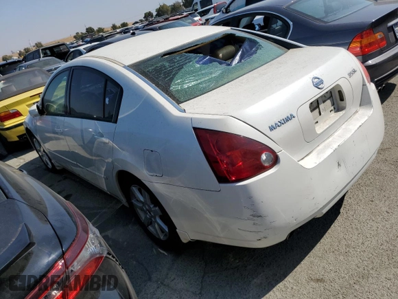 2006 Nissan Maxima 3.5 SE with VIN 1N4BA41EX6C807226, listed as a Copart auction lot 68701063 with 227,094 mi miles and Salvage Title. Bid and sale history available at carsss.com. Image 2.
