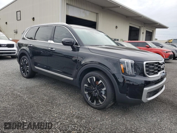 2024 Kia Telluride SX X-Line with VIN 5XYP5DGC6RG469978, listed as a Copart auction lot 81030984 with Not Provided miles and Salvage Title. Bid and sale history available at carsss.com. Image 4.