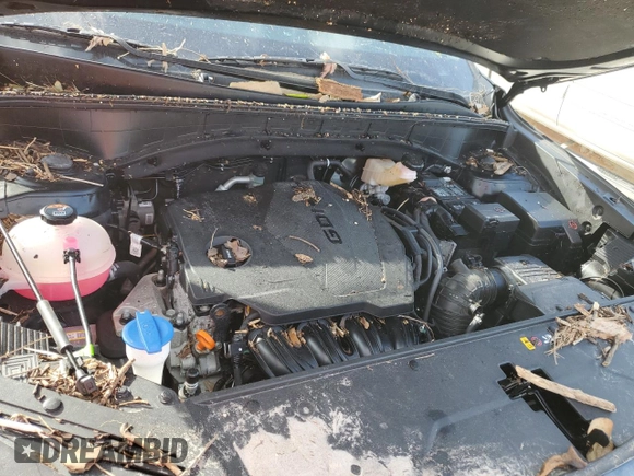 2022 Kia Sorento X-Line S with VIN 5XYRLDLC2NG161947, listed as a Copart auction lot 75103874 with Not provided miles and Salvage title. Bid and sale history available at DreamBid. Image 11.