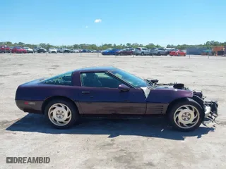 1994 Chevrolet Corvette with VIN 1G1YY22P5R5106289, listed as a IAAI auction lot 42048667 with 1 mi miles. Bid and sale history available at carsss.com. Image 14.