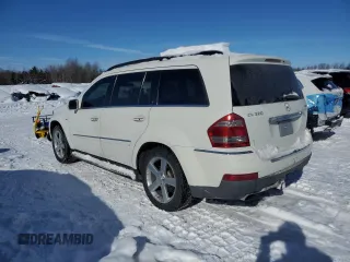 2009 Mercedes-Benz GL-Class 3.0L BlueTEC with VIN 4JGBF25E19A488045, listed as a Copart auction lot 46063375 with 242,880 mi miles and Clean Title. Bid and sale history available at carsss.com. Image 2.