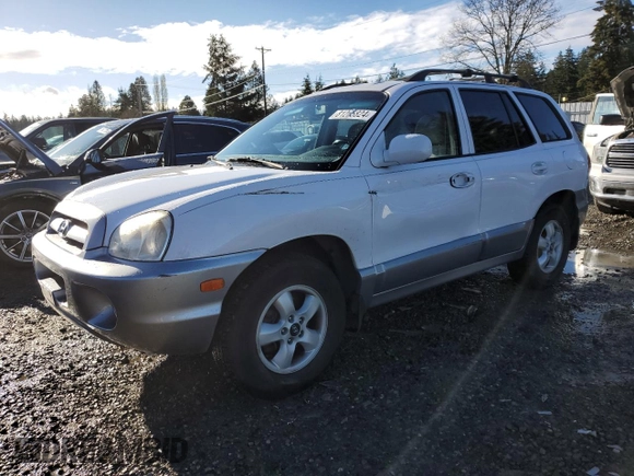 2005 Hyundai Santa Fe GLS with VIN KM8SC13D75U938125, listed as a Copart auction lot 81265824 with 175,296 mi miles and Salvage Title. Bid and sale history available at carsss.com. Image 1.