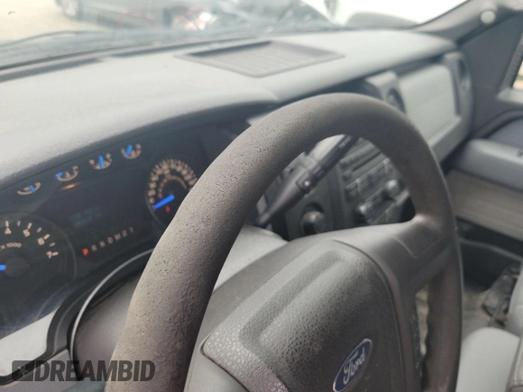 2013 Ford F-150 XL z VIN 1FTFX1EF5DFB15625, wystawiony jako IAAI lot #42569074 z przebiegiem 262 417 mil mil oraz . Historia ofert i sprzedaży dostępna na DreamBid. Obrazek 22.