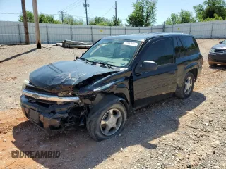 2008 Chevrolet TrailBlazer 3LT with VIN 1GNDT13S582240504, listed as a Copart auction lot 53967635 with 180,824 mi miles and Salvage Title. Bid and sale history available at DreamBid. Image 1.