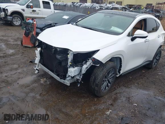 2025 Lexus NX with VIN 2T2HKCEZ3SC043032, listed as a IAAI auction lot 41704791 with 1,135 mi miles. Bid and sale history available at carsss.com. Image 19.