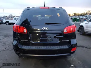 2009 Hyundai Santa Fe GLS with VIN 5NMSG13D29H275200, listed as a Copart auction lot 49262185 with 173,134 mi miles and Salvage Title. Bid and sale history available at carsss.com. Image 6.