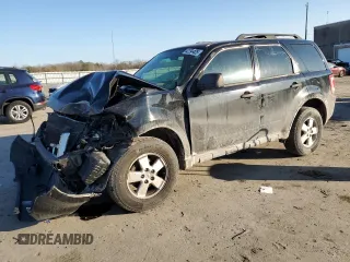 2010 Ford Escape XLS with VIN 1FMCU0C70AKB20439, listed as a Copart auction lot 42294425 with 135,655 mi miles and Clean title. Bid and sale history available at DreamBid. Image 1.